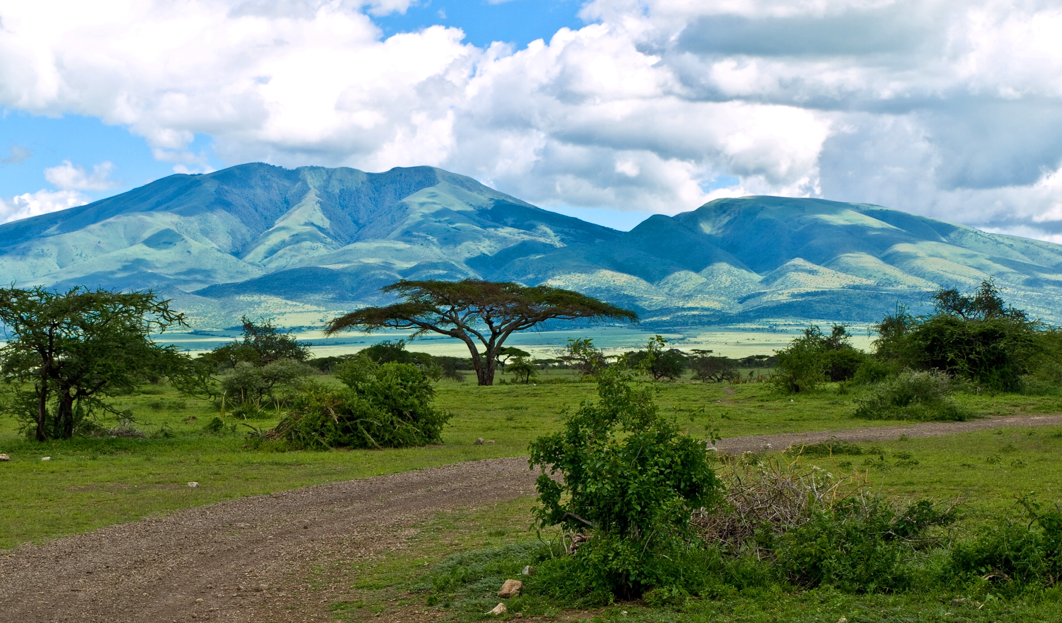 Parc National du Serengeti